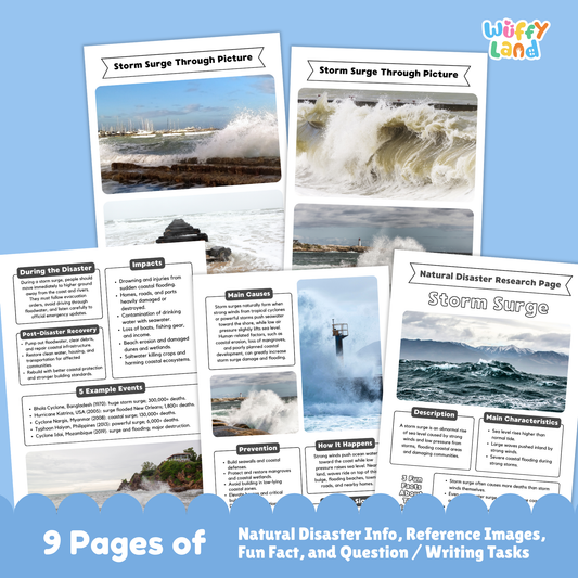 Printable storm surge country research project pages featuring a main storm surge information sheet, real-life photos of coastal flooding, and student worksheets for description, causes, impacts, warning signs, and prevention.