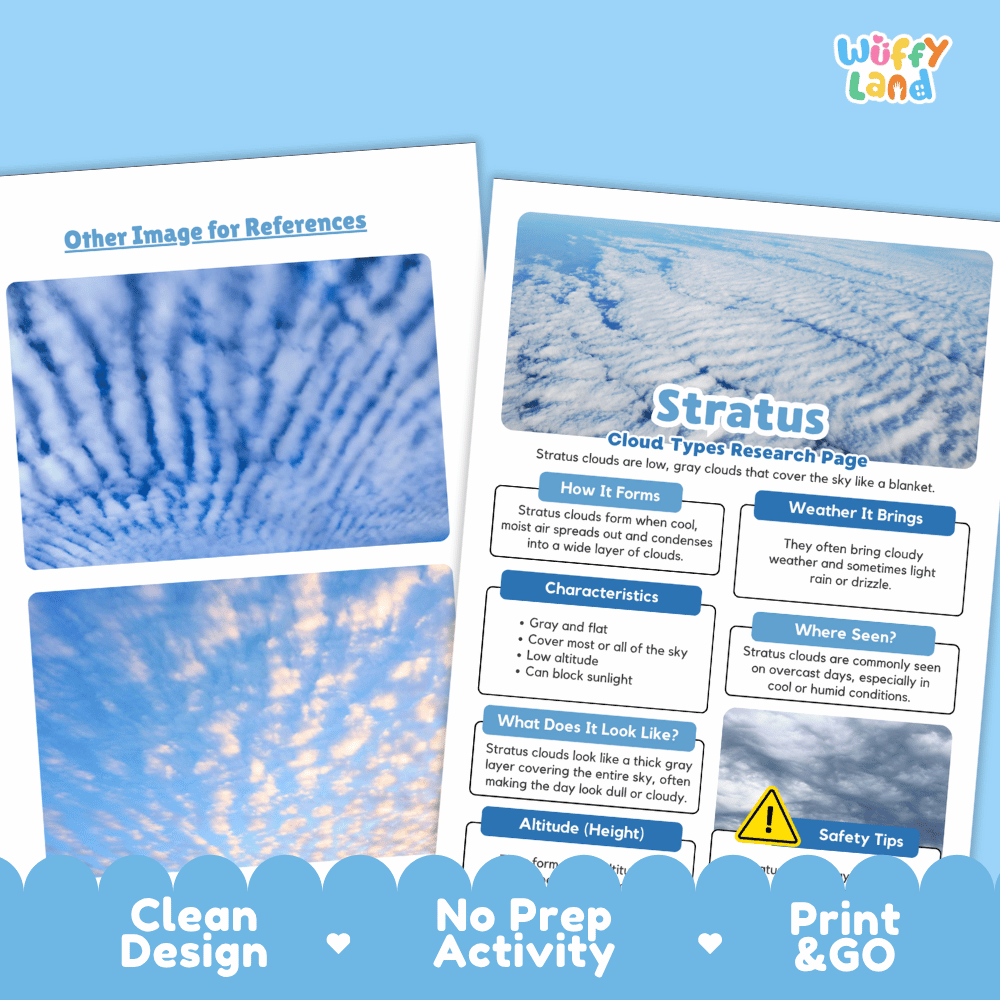 Stratus Cloud Types Research Worksheets and Informational Fact Sheets