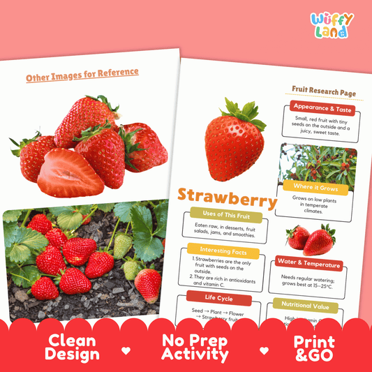 Strawberry Fruit Research Activity Worksheet Science Healthy Eating Life Cycle