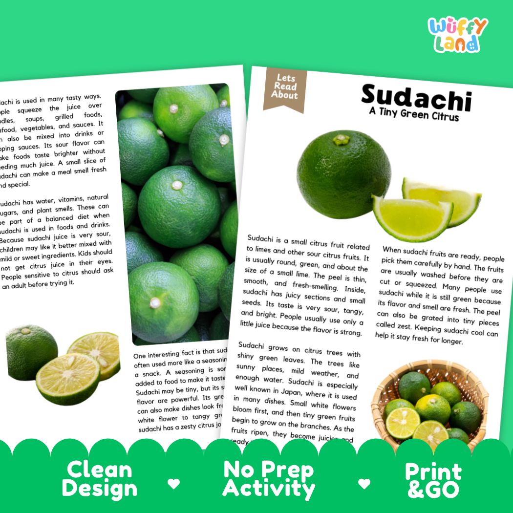 Teacher answer key page showing complete question solutions for sudachi reading comprehension practice