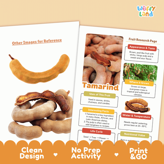 Tamarind Fruit Research Activity Worksheet Science Exotic Fruit Cultural Foods