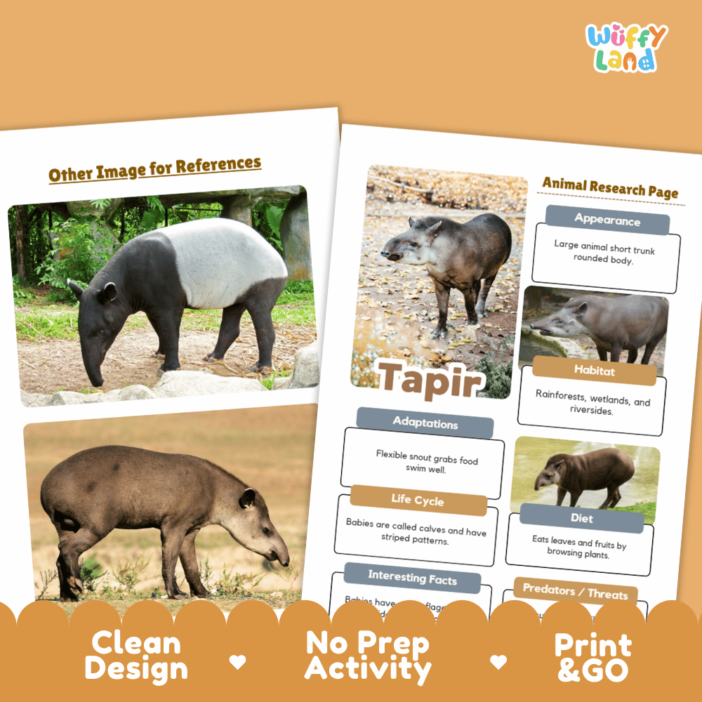 Tapir Animal Research Worksheets and Informational Fact Sheets