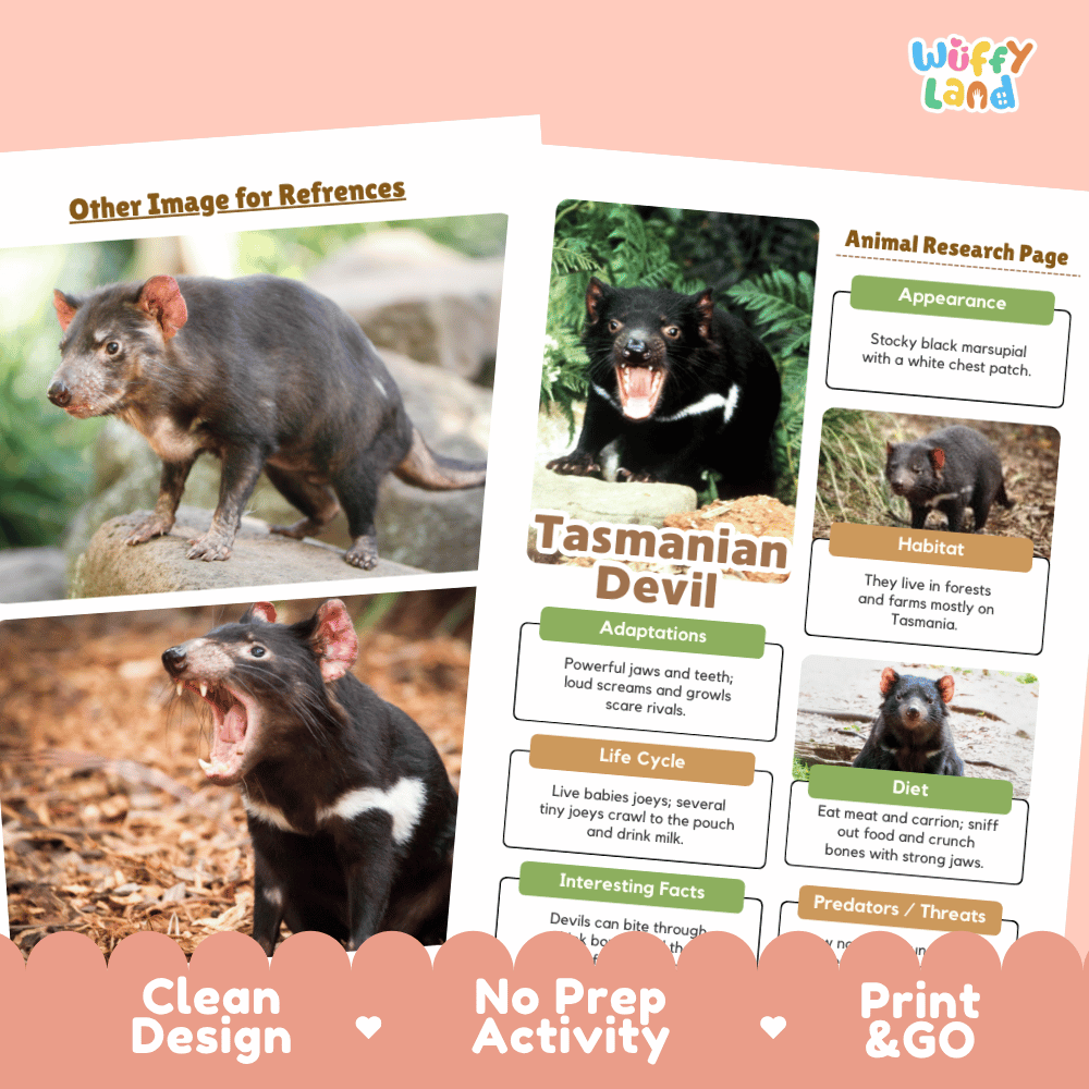 Tasmanian Devil Animal Research Page Graphic Organizers and Worksheets