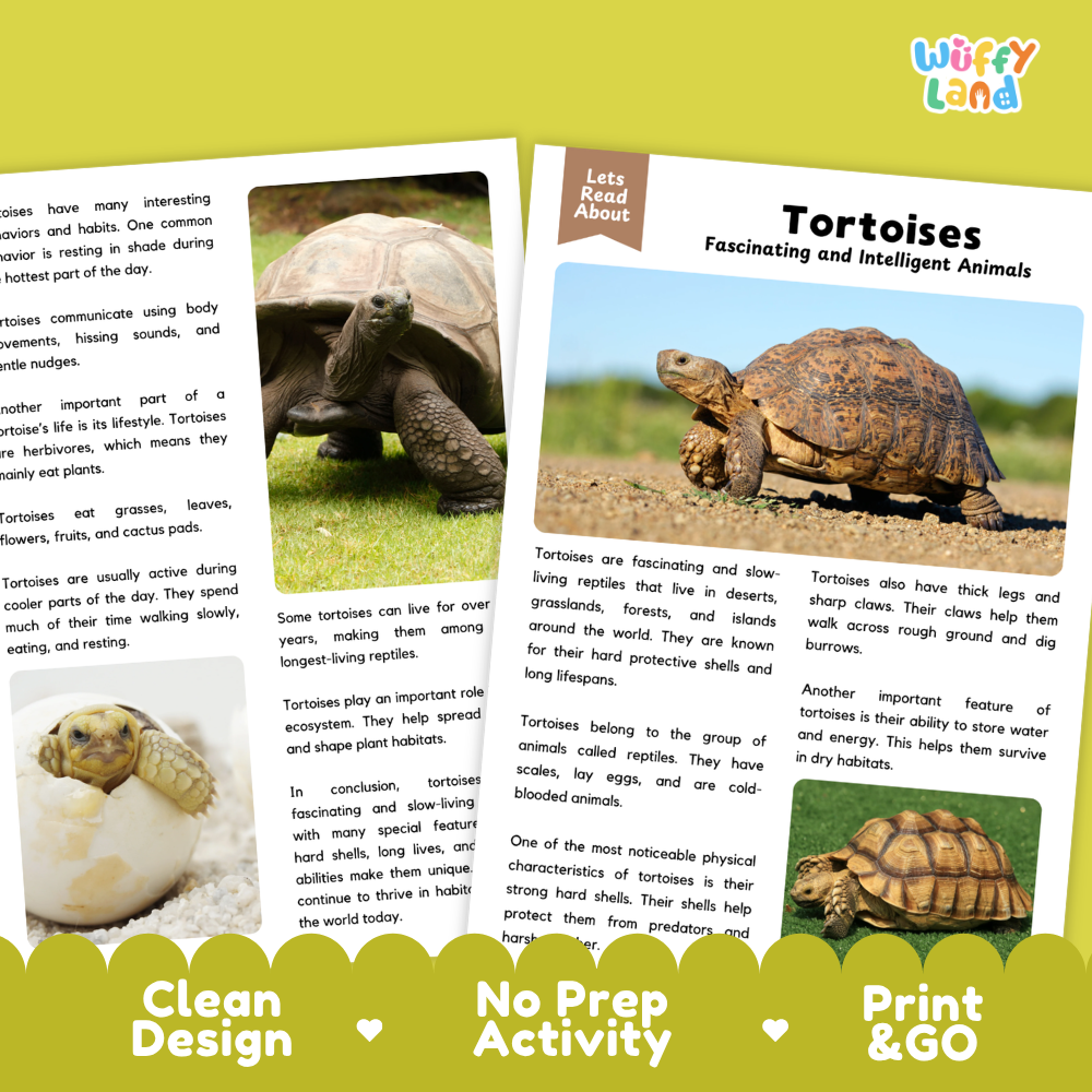 Tortoise Reading Passage and Comprehension Questions Worksheets