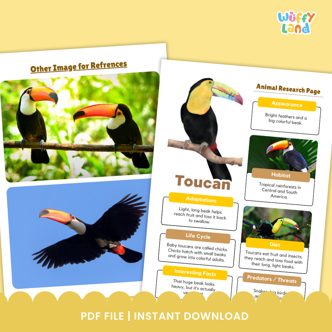 A "Toucan Animal Research Project" educational worksheet set featuring printable pages for students to record facts about toucans. Includes templates for drawing, note-taking, and writing about the bird’s appearance, habitat, diet, life cycle, and adaptations. The set also contains colorful reference images of toucans to support classroom or homeschool science lessons.