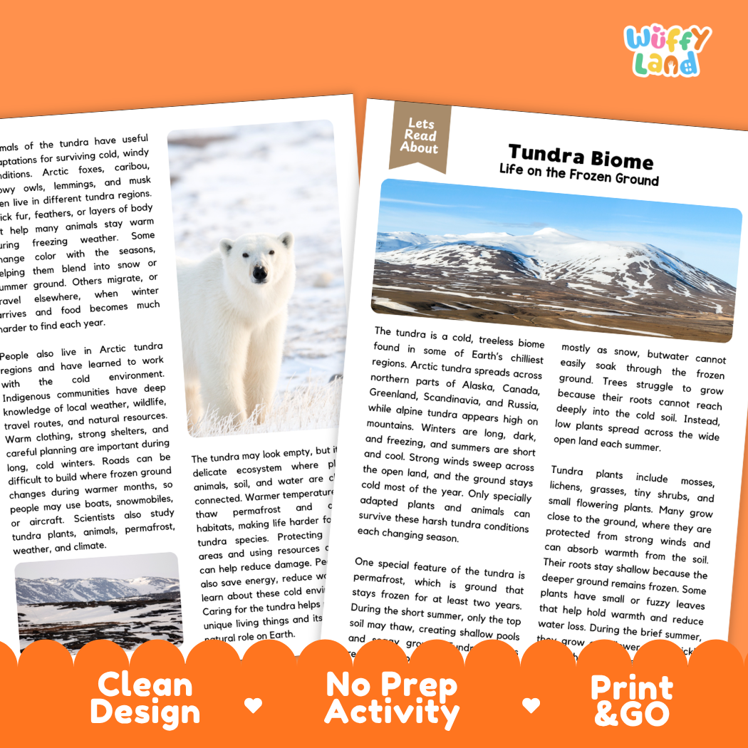 Teacher answer key page showing complete question solutions for Tundra Biome Earth science and biology reading comprehension practice