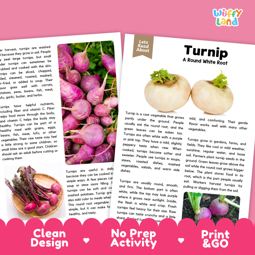 Teacher answer key page showing complete question solutions for turnip reading comprehension practice