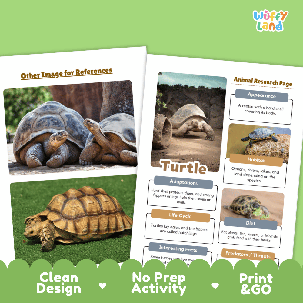Turtle Animal Research Page Worksheets and Fact Sheet Activity