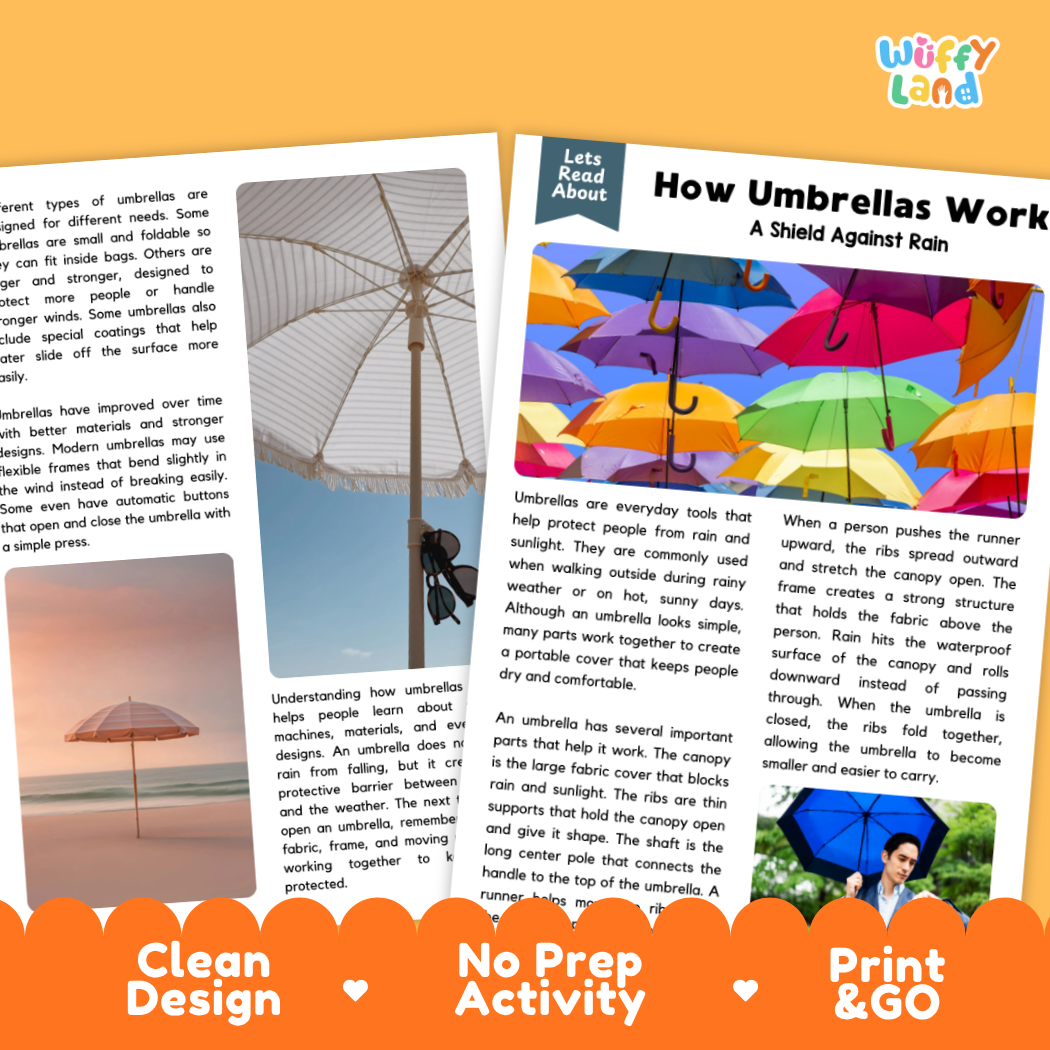 Complete teacher answer key worksheet providing detailed model responses for umbrella comprehension questions