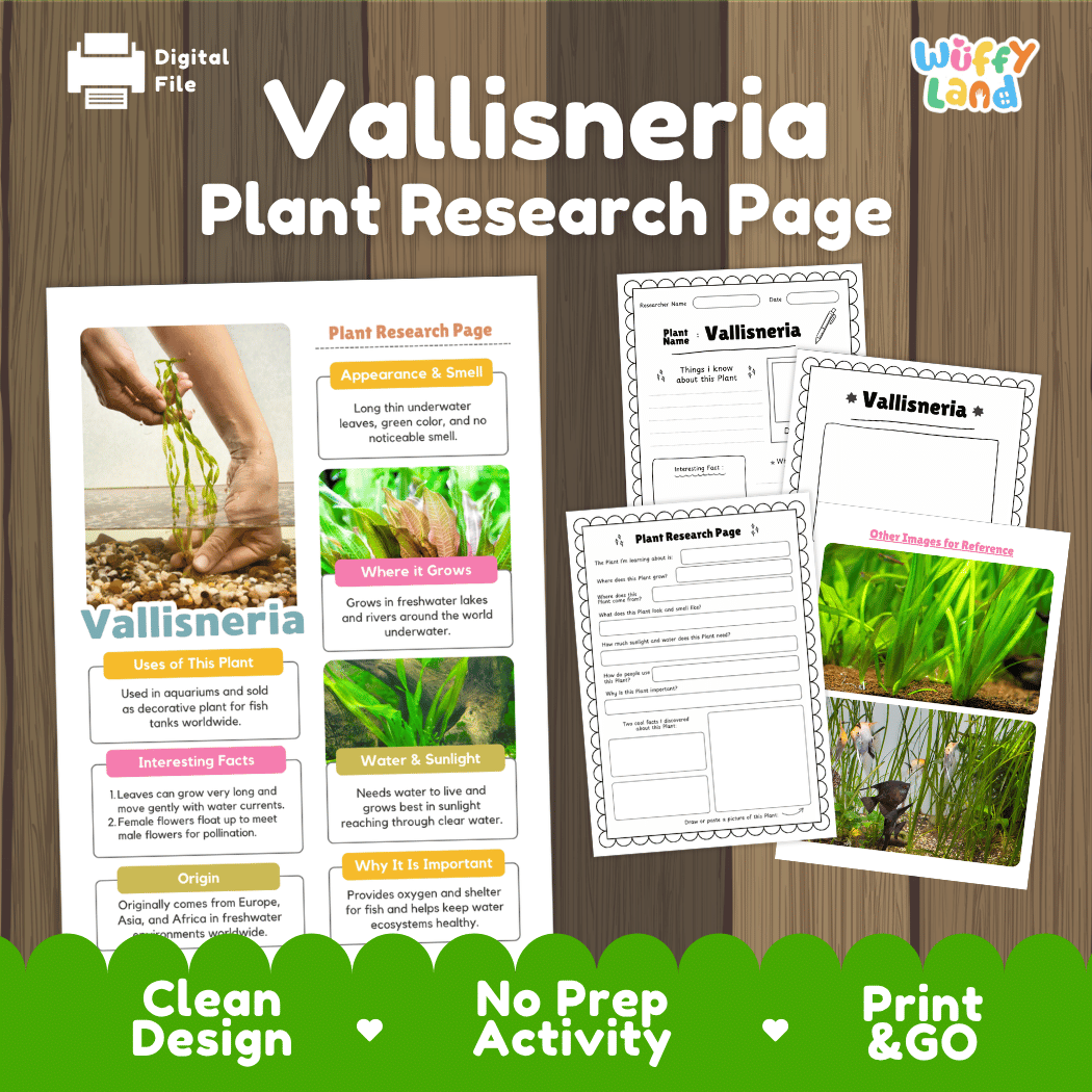 Student plant research page writing worksheets with real close up underwater ribbon leaves, bare root specimens, lined note-taking prompts, and drawing frames