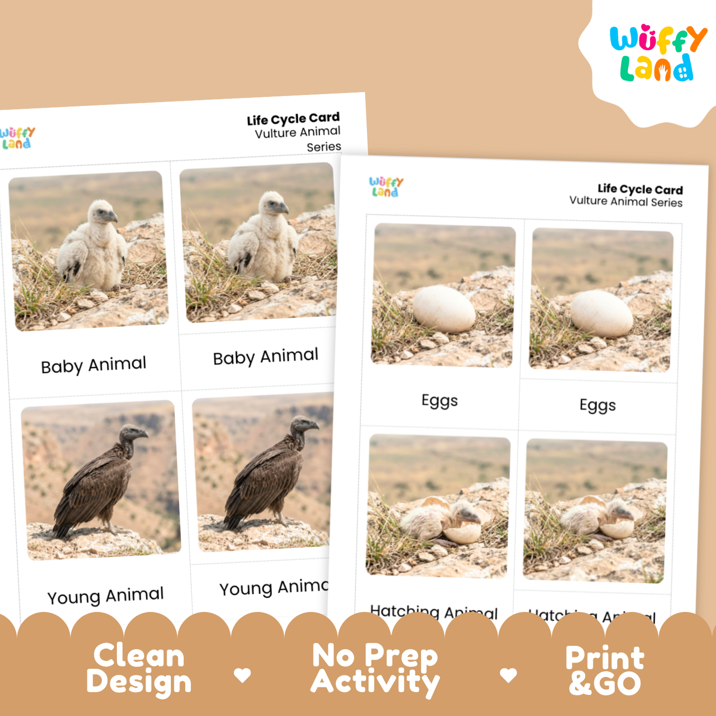 Two printed vulture animal life cycle cards shown on a beige background with promotional text. The cards feature labeled photos of baby animal, eggs, and young animal stages, and the brand name Wuffy Land appears in the top right corner.