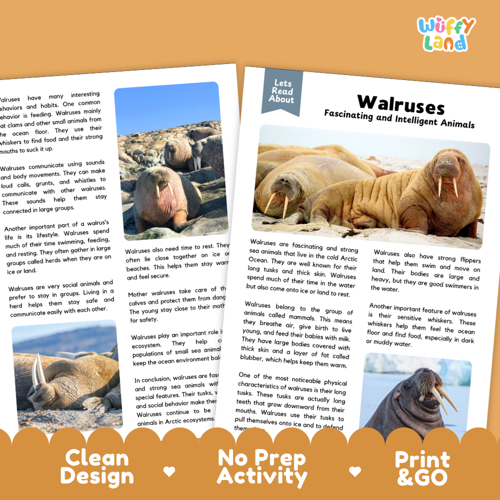 Two educational activity sheets for children about walruses, displayed on a light gray background with decorative corner graphics. The left sheet features a blue photo of a walrus, and the right sheet features a photo of a walrus on sand with text reading 'Walruses Fascinating and Intelligent Animals.