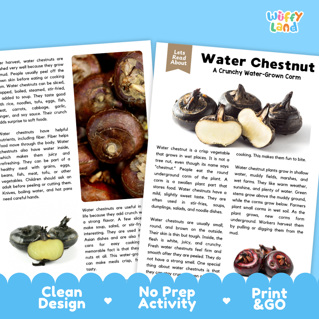 Teacher answer key page showing complete question solutions for water chestnut reading comprehension practice