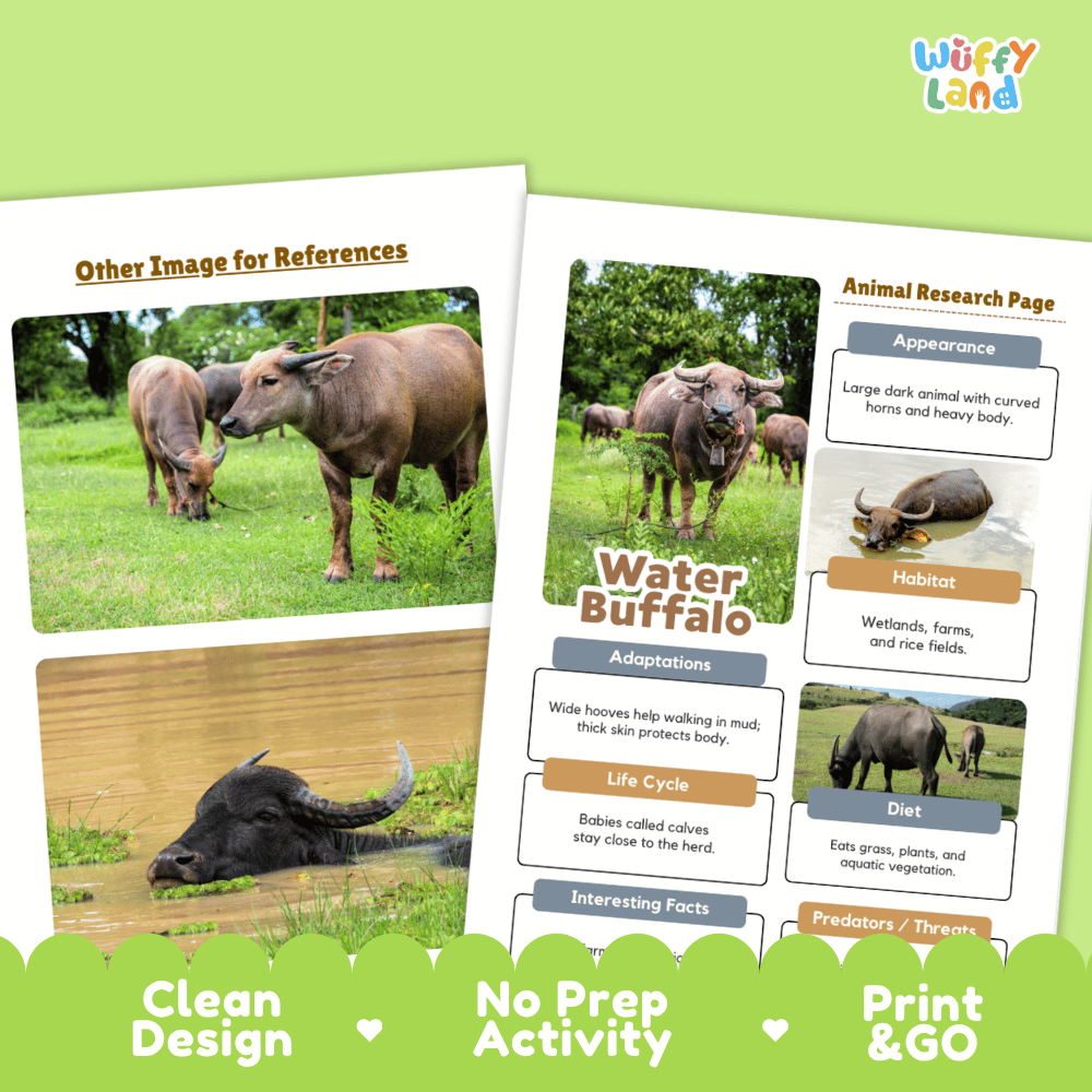 Water Buffalo Animal Research Worksheets and Informational Fact Sheets
