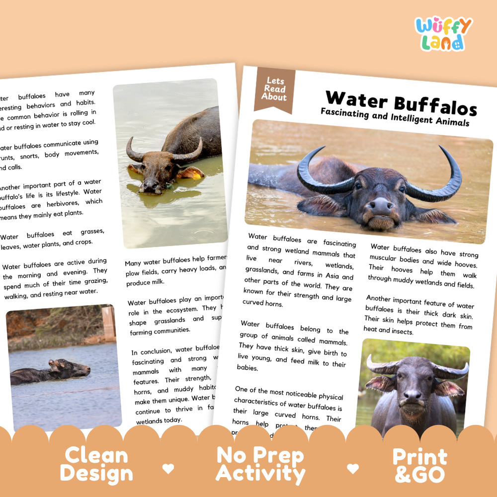 A children's educational activity sheet from Wiffly Land about water buffaloes, shown as a printed card with a small photo of a water buffalo and three feature callouts reading 'Clean Design,' 'No Prep Activity,' and 'Print & Go.'.