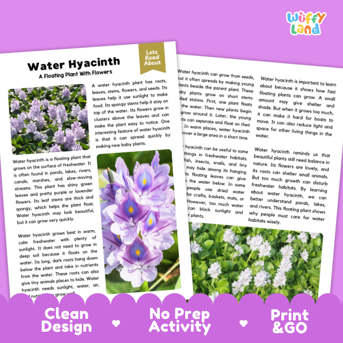 Water Hyacinth Plant Reading Passages and Comprehension Questions Worksheets
