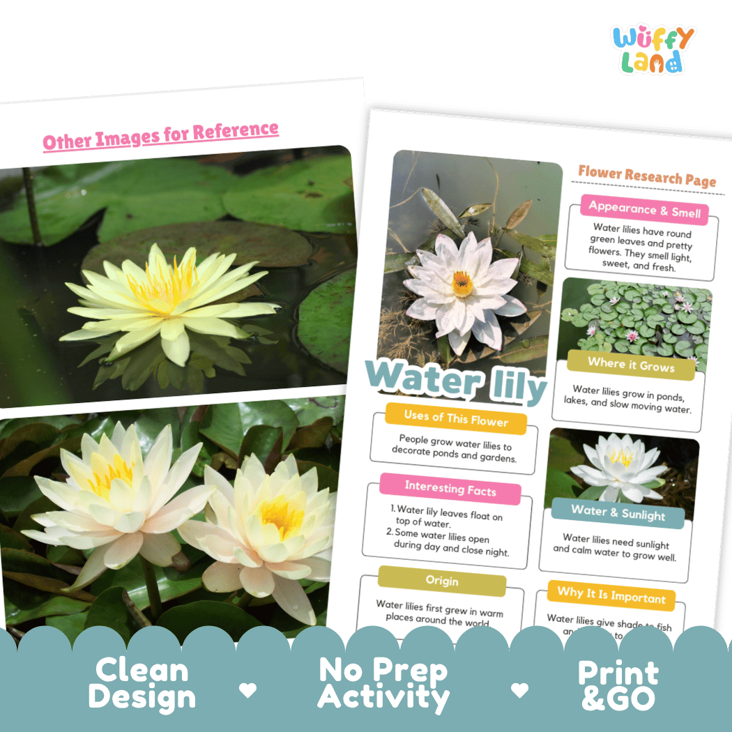Water Lily Plant Research Page and Worksheets Print and Go Activity
