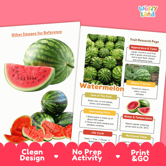 Watermelon Fruit Research Activity Worksheet Science Summer Life Cycle