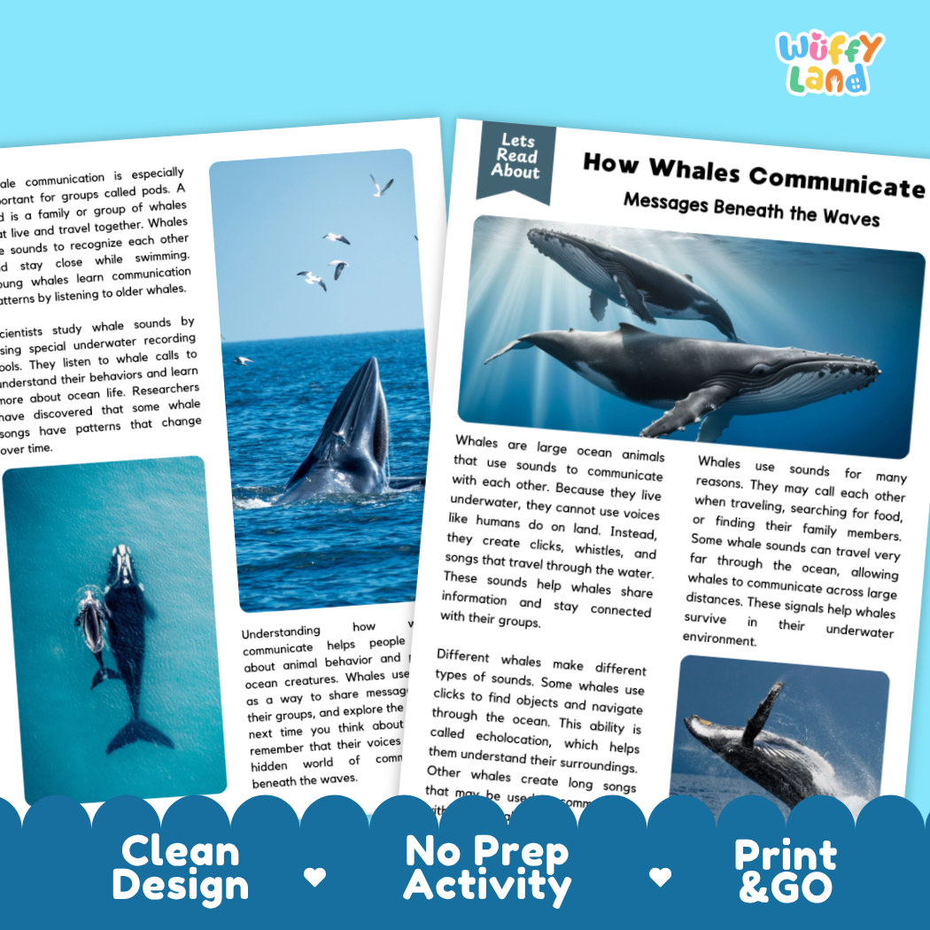 Complete teacher answer key worksheet providing detailed model responses for whale communication comprehension questions