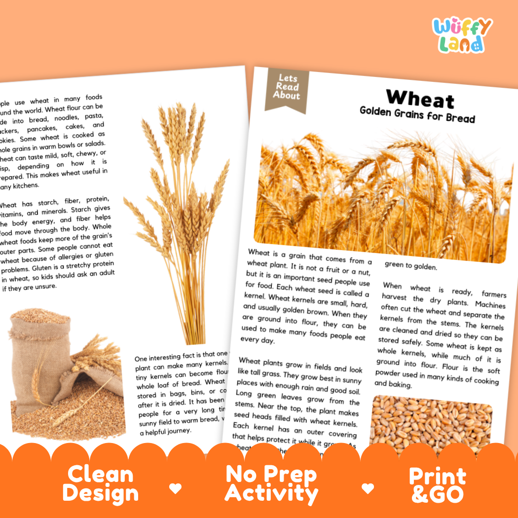 Wheat Reading Passage and Comprehension Questions Worksheets with Answer Key