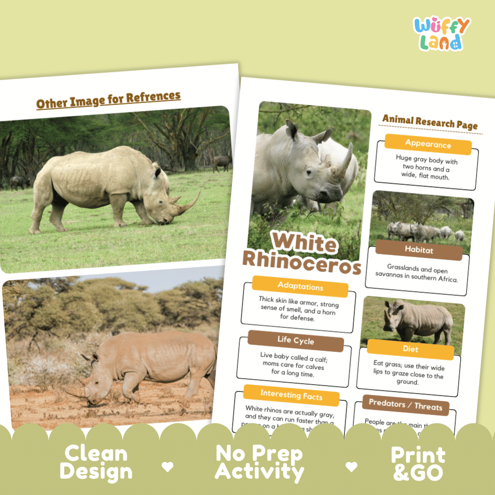 Two printed educational activity sheets about white rhinos displayed on a pale green background with promotional text along the bottom. The sheets include animal photos, labeled sections for appearance, habitat, adaptations, life cycle, diet, and predators, and the brand name 'Wuffi Land' in the top right.