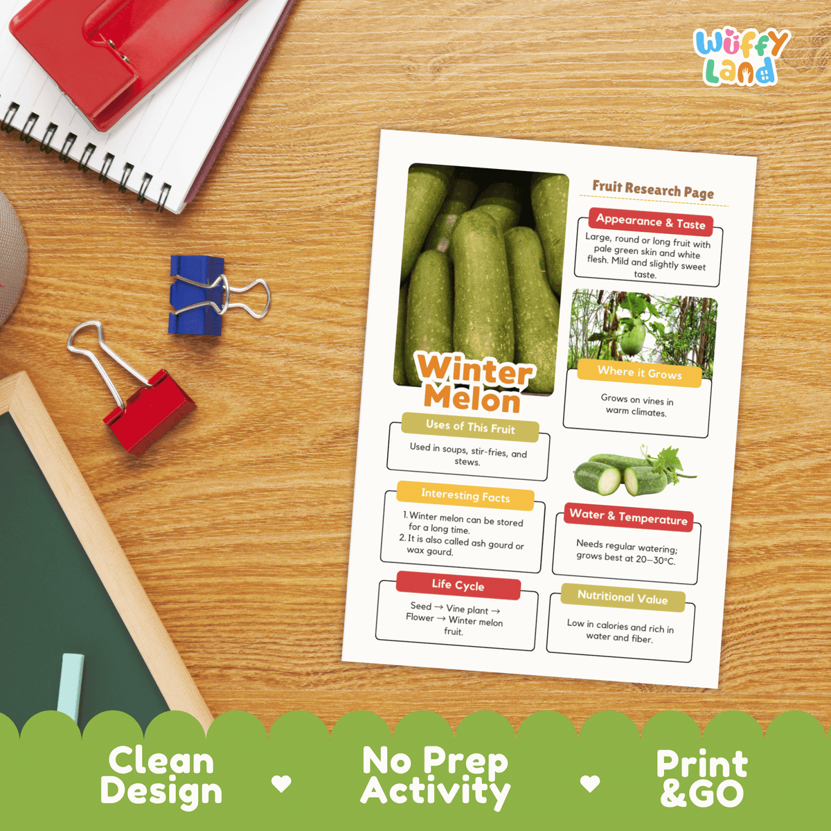 Winter Melon Fruit Research Activity Worksheet Science Ash Gourd Wax Gourd
