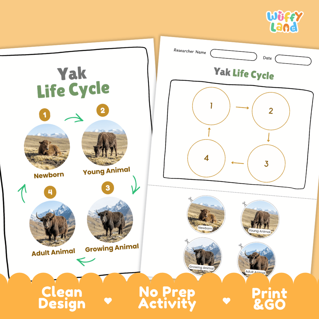 Yak Life Cycle Poster and Cut and Paste Activity Worksheet