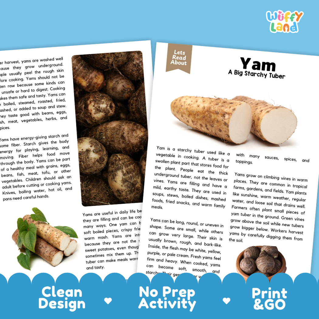 Teacher answer key page showing complete question solutions for yam reading comprehension practice