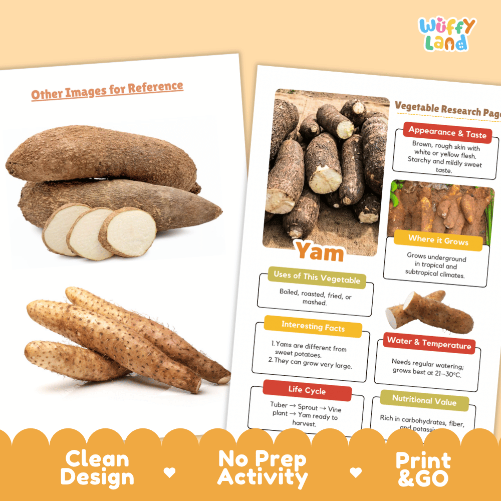 Yam Vegetable Research Page Science Worksheets and Fact Sheet