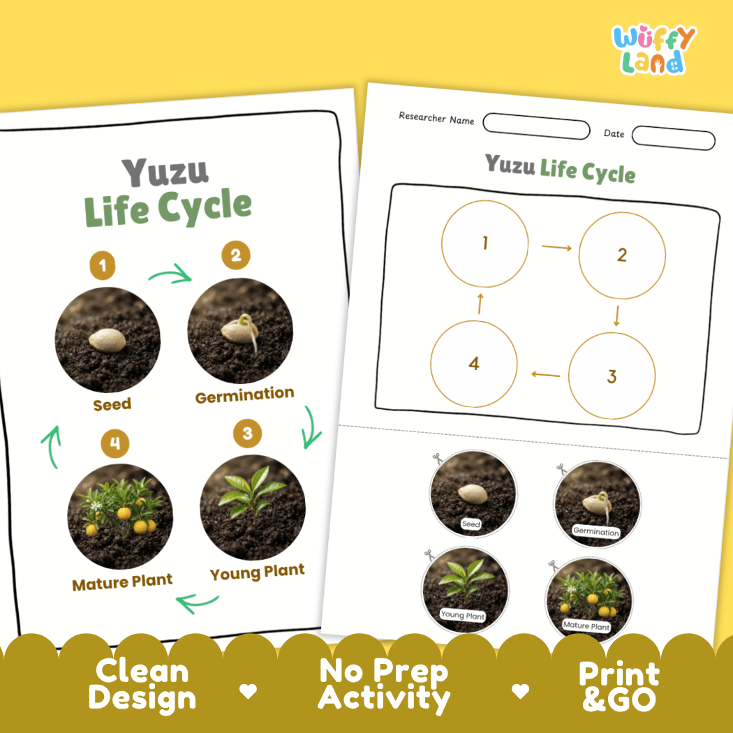 Print and go digital PDF plant science activity showing clean design layout, researcher name field, and zero prep classroom format