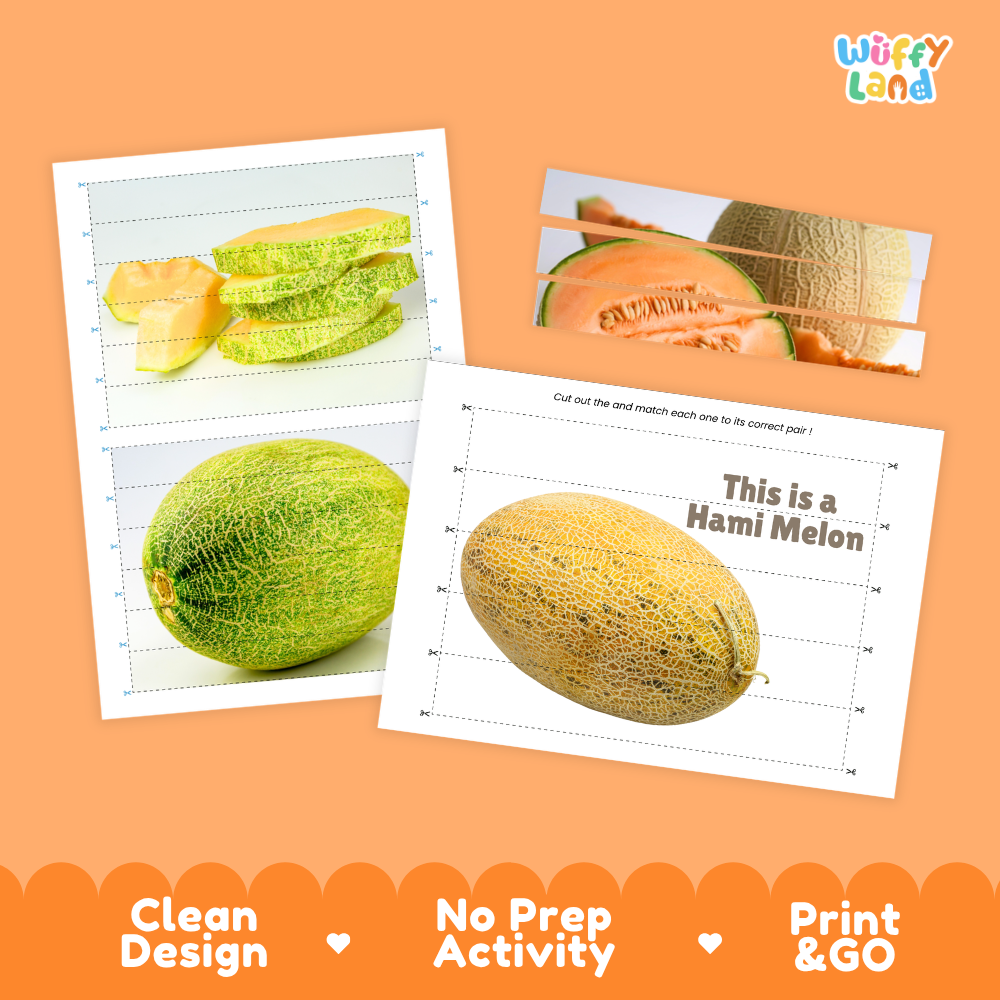 Clean design no prep print and go Hami melon cut and match activity printable PDF pack