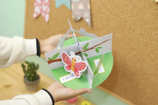 Watch a Butterfly Transform — Right on Your Table! 🐛🦋