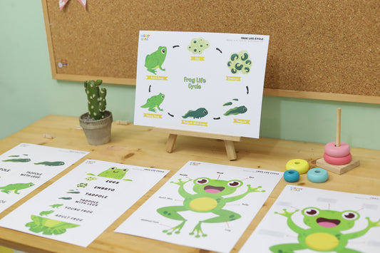 Explore Nature with the Frog Life Cycle Printable Activity