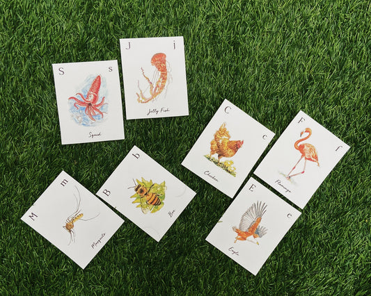 Travel Back in Time with These Beautiful Vintage Animal Flashcards 🐘📚