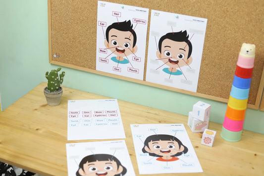 Point, Match, Learn: A Hands-On Body Parts Game for Little Learners