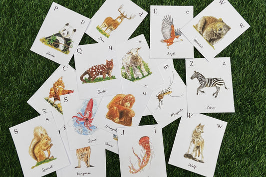 Bring Classic Charm to Learning with Vintage Animal Flashcards