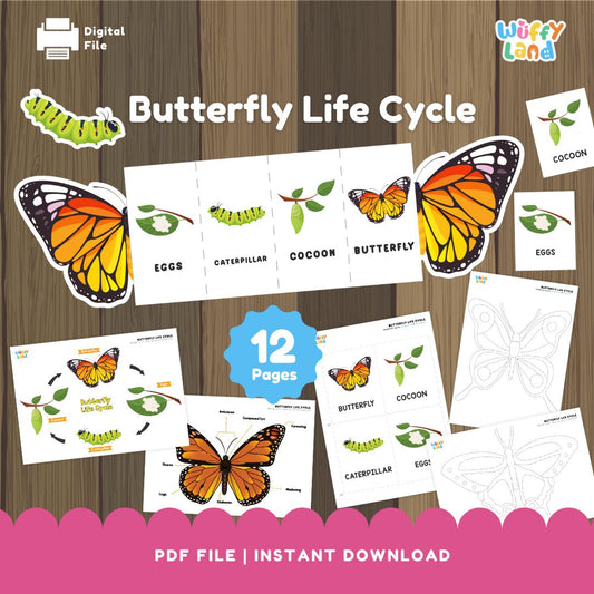 Butterfly Life Cycle Printable - Life Cycle Learning for Kids