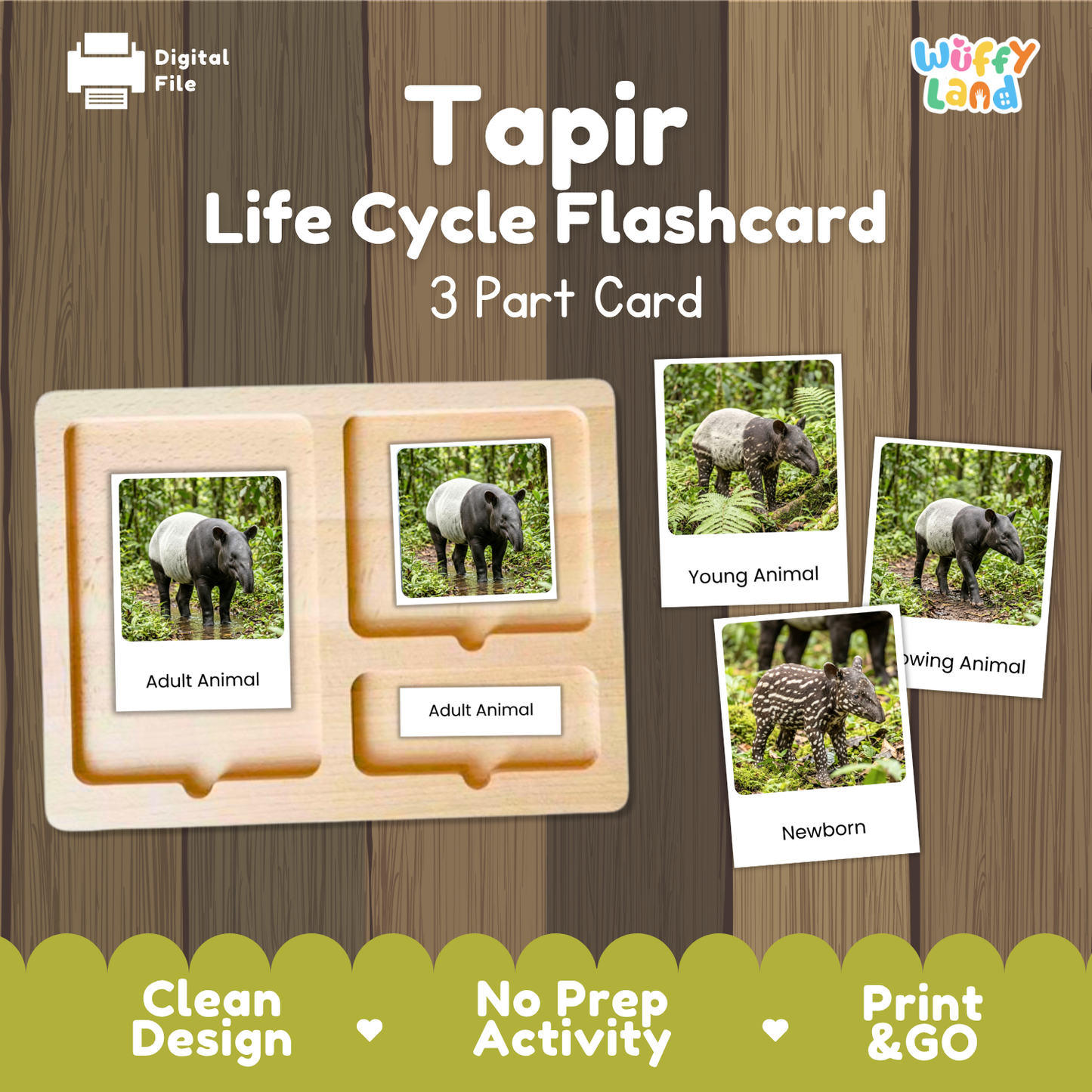 Tapir Life Cycle Flashcards - Montessori 3 Part Cards Printable Activity