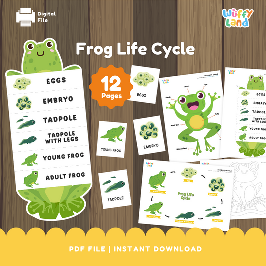 Frog Life Cycle Printable - Fun & Educational Science Activity for Kids