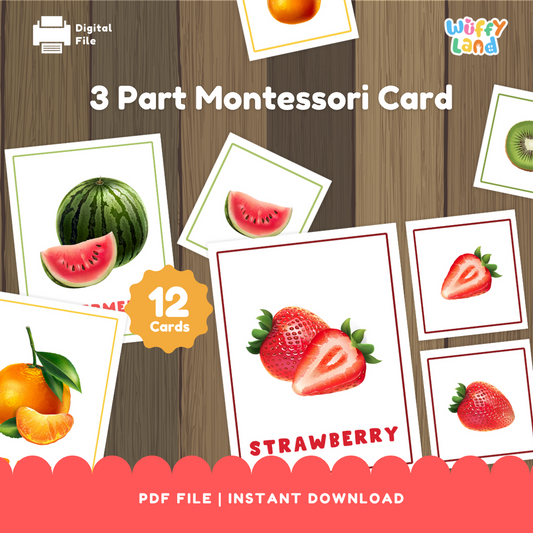 Three Part Fruit Flashcard