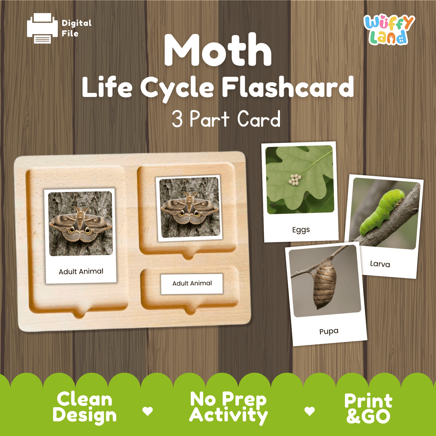 Moth Life Cycle Montessori 3-Part Cards - Science Zoology Flashcards