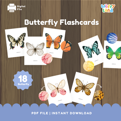 Butterfly Flashcards