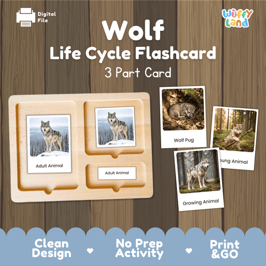 Wolf Life Cycle Montessori 3-Part Cards - Science Zoology Mammal Flashcards
