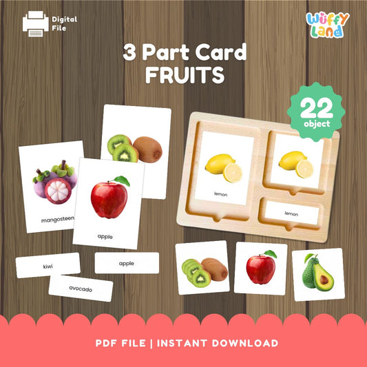 Kartu 3 Bagian Terinspirasi Buah Montessori dengan Gambar Asli 