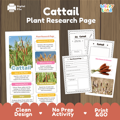 Cattail Plant Research Page Worksheets and Fact Sheet
