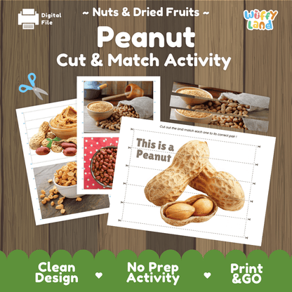 Peanut Cut and Match Activity Worksheets | Nuts and Dried Fruits Puzzle Printables
