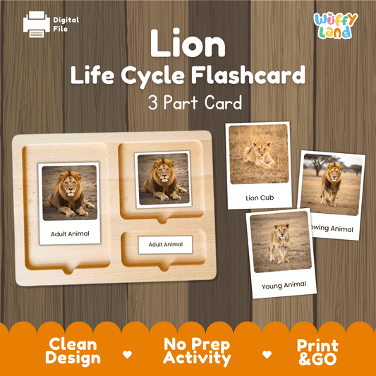 Lion Life Cycle Montessori 3-Part Cards - Science Zoology Mammal Flashcards