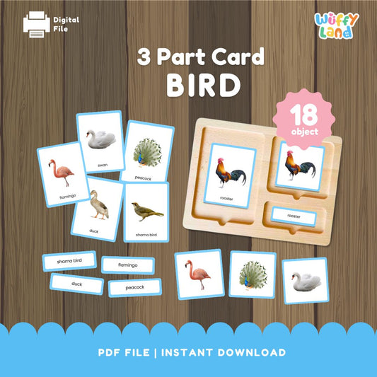 Kartu 3 Bagian Montessori Seri Burung Zoologi 
