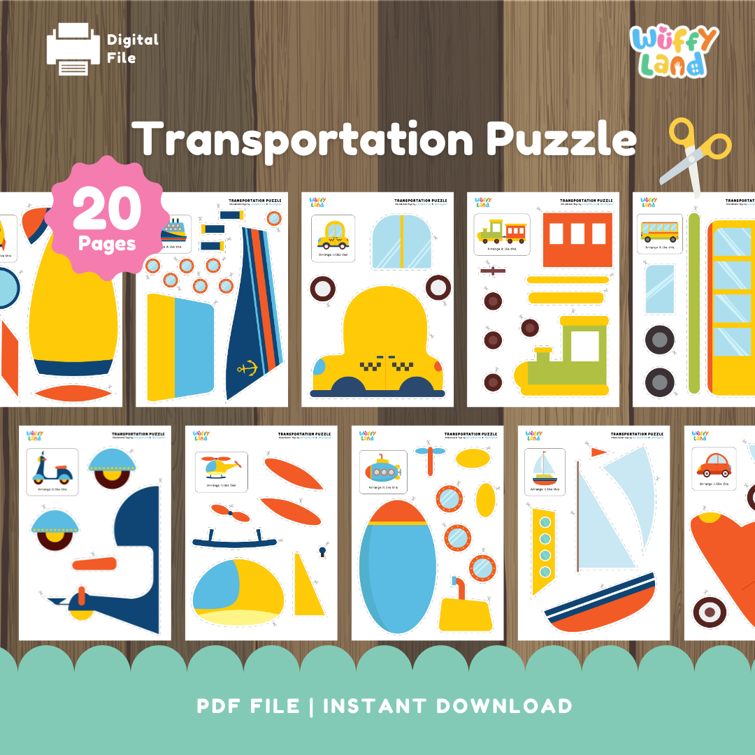 Transportation Puzzle