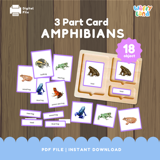 Amphibians 3-Part Cards - Montessori Science Matching Activity
